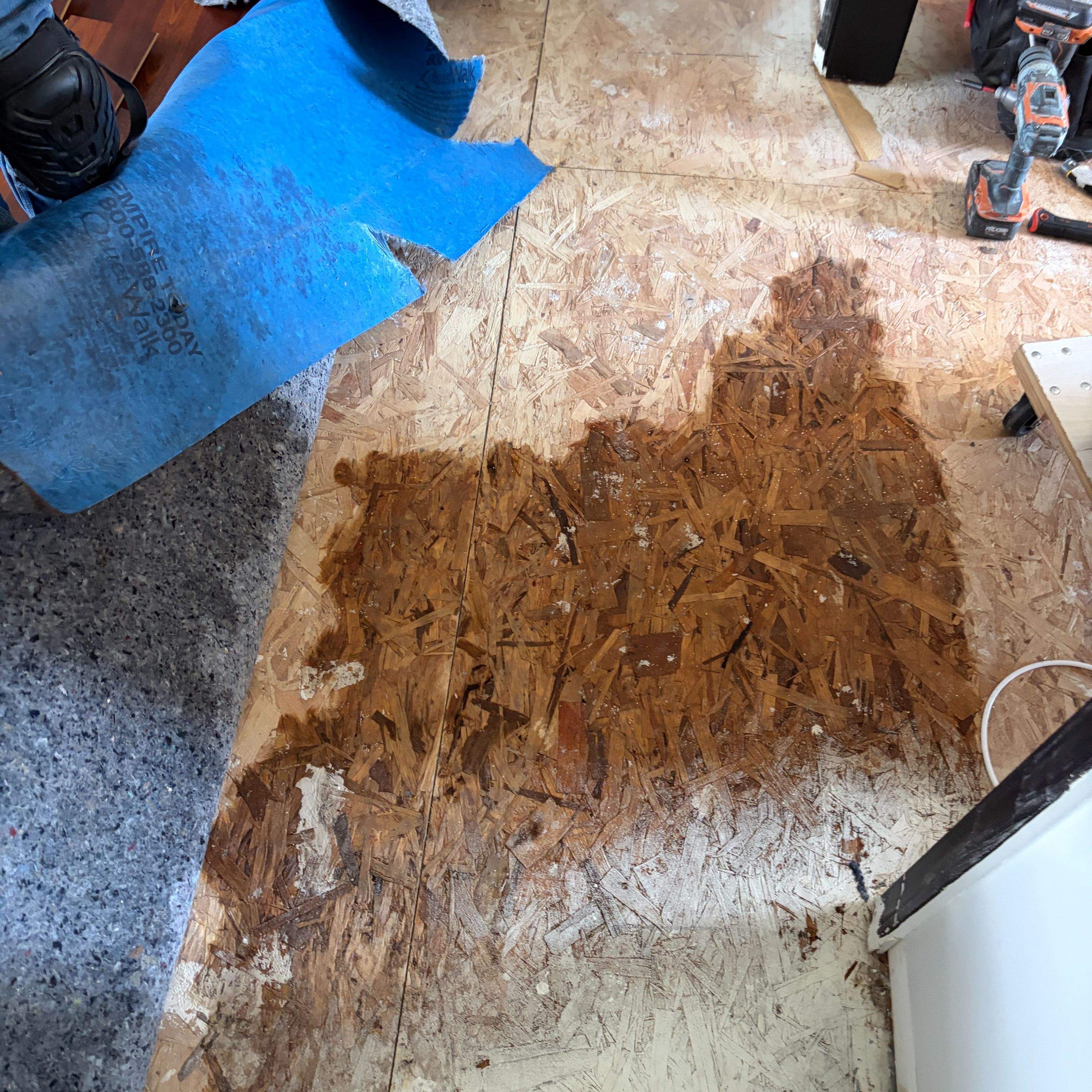 Same Day Water Damage Service in Converse: Fast Drying